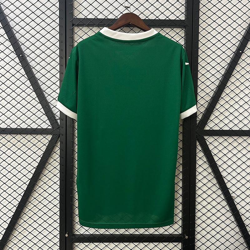 25∕26 Palmeiras home S-4XL