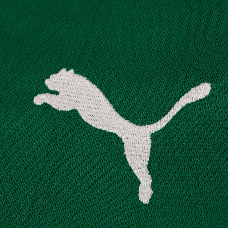 Palmeiras Home Fan Jersey 2025/26